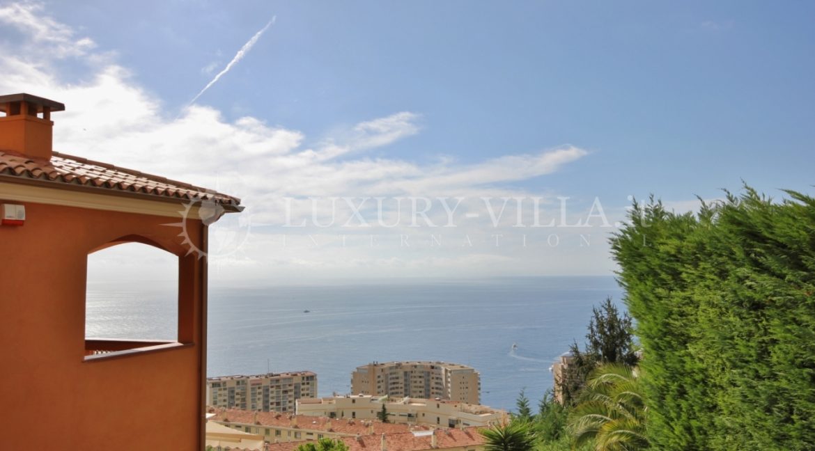 Villa in vendita con piscina e vista sul principato near Monaco, Provence-Alpes-Costa Azzurra,France (4)