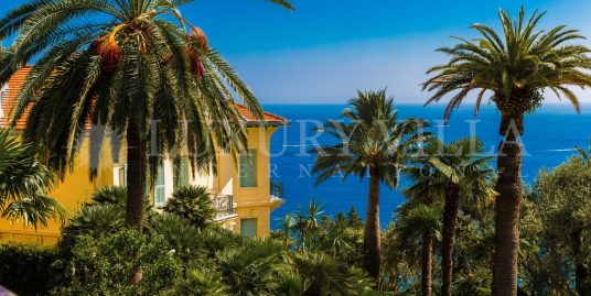 Villa a Roquebrune, Cap Martin